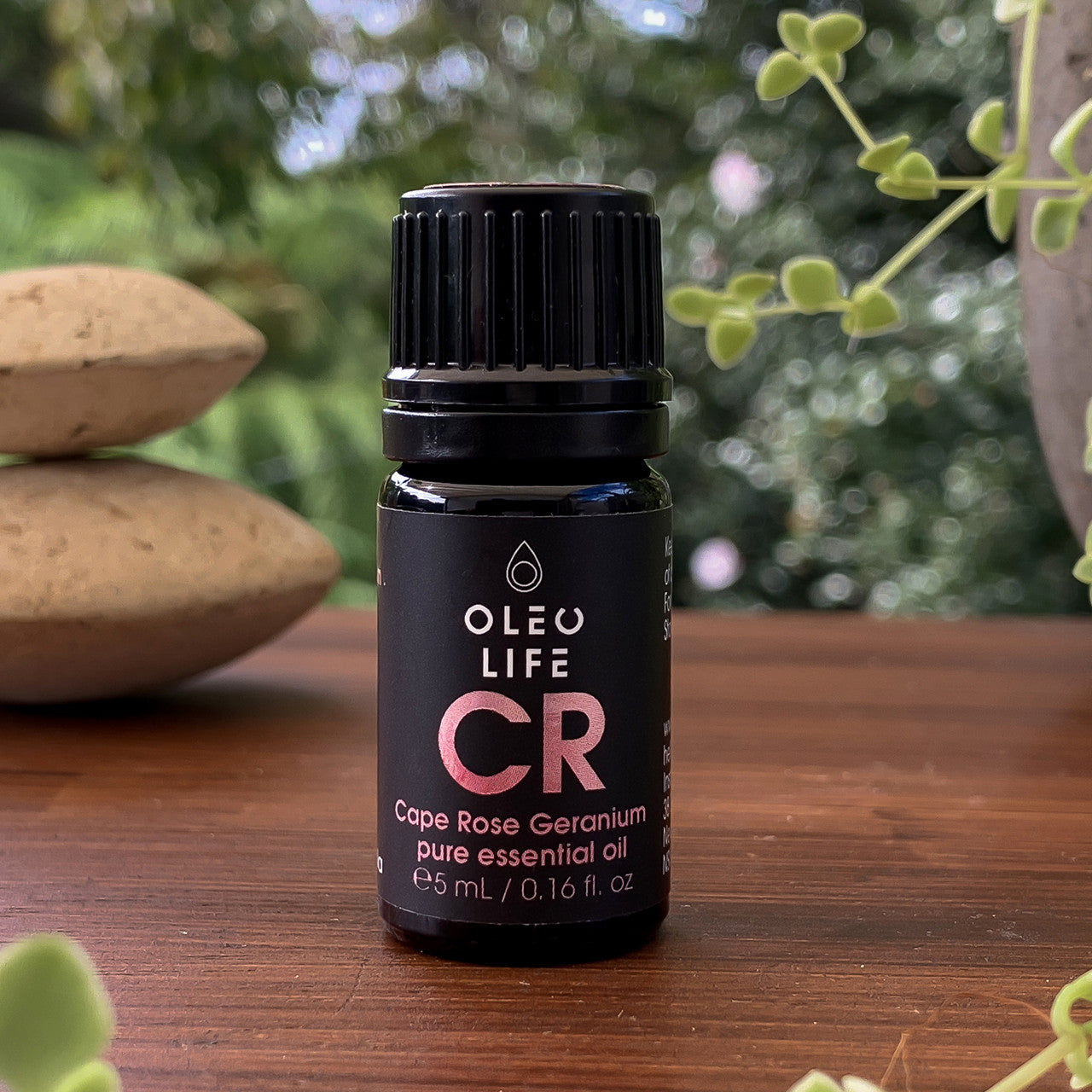 Organic Cape Rose Geranium Essential Oil lifestyle