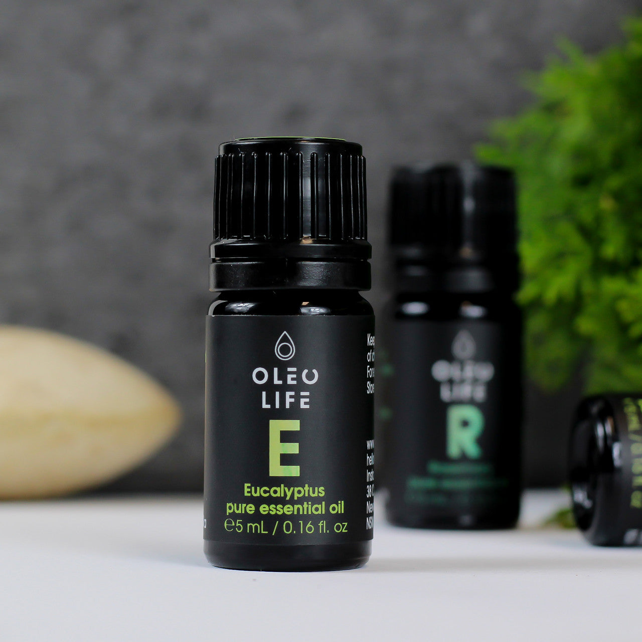 Organic Eucalyptus Essential Oil lifestyle