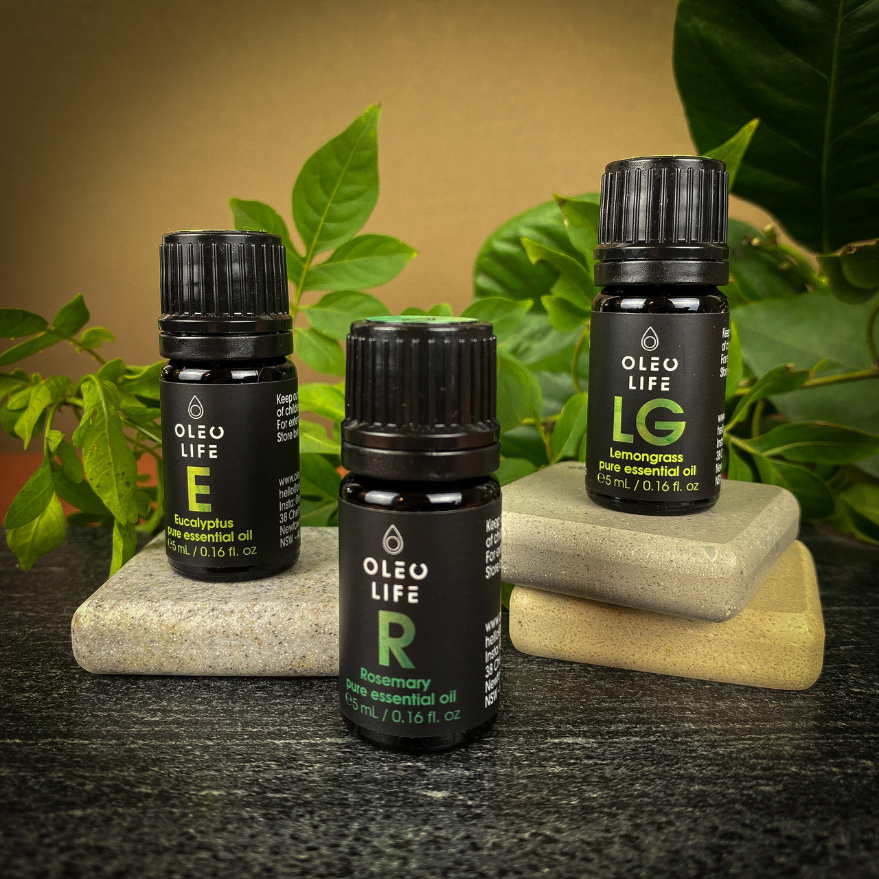 Organic Rosemary Essential Oil lifestyle