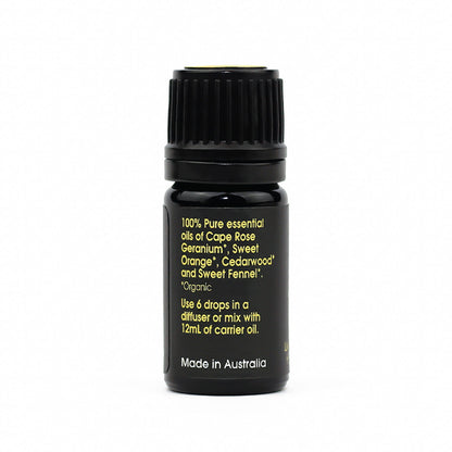 Living Room Blend back